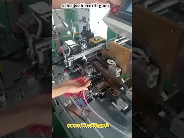 Mesin Celup Timah Dwi Kepala Automatik 2